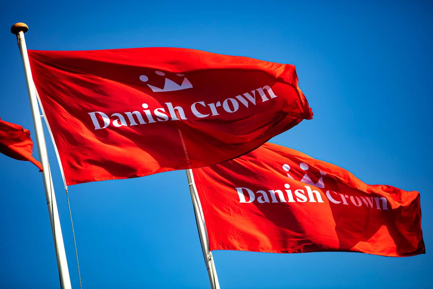 danish-crown-skal-spare-milliardbel-b-for-at-genvinde-konkurrencekraft-dagligvarehandlen